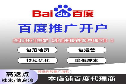 落地页在SEM优化中的重要性及成功案例